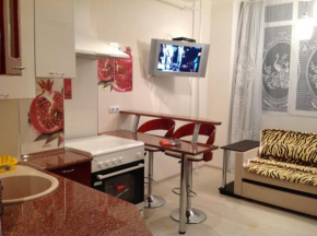 Apartment on Griboedova st.